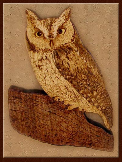 owl institute tanja sova